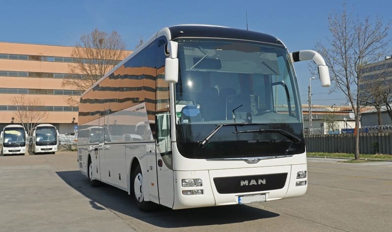 Malta region: Buses operator in Gżira in Gżira and Malta